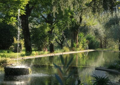 Les bassins du Domaine du Riodam