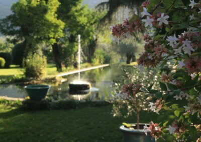 domaine-du-riodam-galerie
